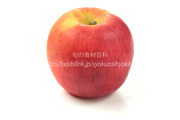 ジャズ／Jazz apple＜リンゴ りんご