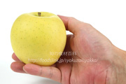 黄王（きおう）リンゴ　りんご　青りんご