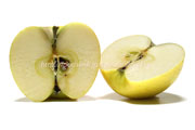 リンゴの品種＞アンビシャス（Ambitious）の断面