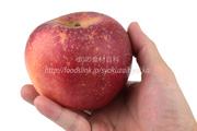 紅将軍（べにしょうぐん） りんご　リンゴ