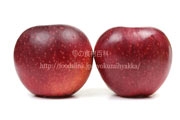 シナノホッペ　りんご　リンゴ