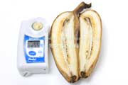 追熟したカルダババナナの糖度 調理用バナナ