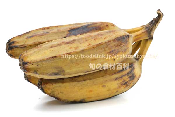 カルダババナナ 調理用バナナ