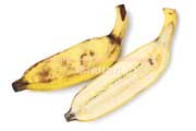 キウイーナ（KIWI’NA）の断面 バナナ