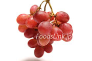 ホリデイ・レッド・シードレス（Holiday Red Seedless Grapes）
