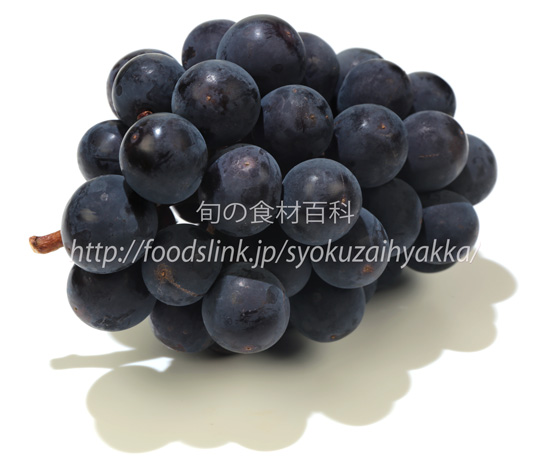紫玉（しぎょく）　ぶどう　ブドウ