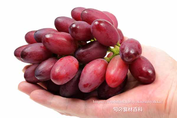 神紅,しんく,ぶどう,島根県オリジナル品種