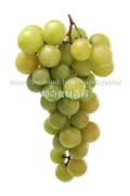 トンプソン・シードレス(Thompson Seedless Grapes) トンプソン・シードレス(Thompson Seedless Grapes)