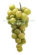 トンプソン・シードレス(Thompson Seedless Grapes) トンプソン・シードレス(Thompson Seedless Grapes)