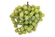 トンプソン・シードレス(Thompson Seedless Grapes) トンプソン・シードレス(Thompson Seedless Grapes)