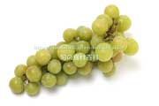 トンプソン・シードレス(Thompson Seedless Grapes) トンプソン・シードレス(Thompson Seedless Grapes)