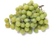 トンプソン・シードレス(Thompson Seedless Grapes) トンプソン・シードレス(Thompson Seedless Grapes)