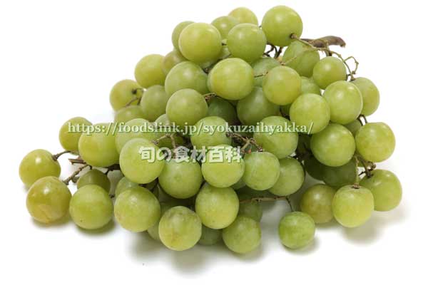トンプソン・シードレス(Thompson Seedless Grapes) トンプソン・シードレス(Thompson Seedless Grapes)