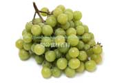 トンプソン・シードレス(Thompson Seedless Grapes) トンプソン・シードレス(Thompson Seedless Grapes)