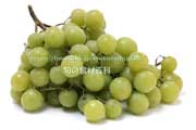 トンプソン・シードレス(Thompson Seedless Grapes) トンプソン・シードレス(Thompson Seedless Grapes)