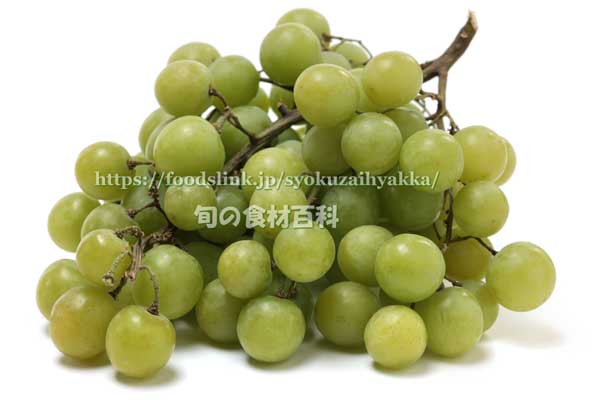 トンプソン・シードレス（Thompson Seedless Grapes）