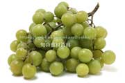 トンプソン・シードレス(Thompson Seedless Grapes) トンプソン・シードレス(Thompson Seedless Grapes)