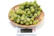 トンプソン・シードレス(Thompson Seedless Grapes) トンプソン・シードレス(Thompson Seedless Grapes)