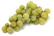 トンプソン・シードレス(Thompson Seedless Grapes) トンプソン・シードレス(Thompson Seedless Grapes)