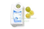 トンプソン・シードレス(Thompson Seedless Grapes) トンプソン・シードレス(Thompson Seedless Grapes)