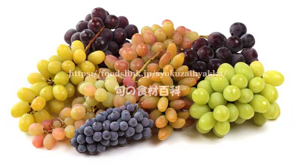 色々なブドウ　シャインマスカット2種、伊豆錦、マスカットフルーレ、山ぶどう、グルガンローズ、オーロラブラック、赤嶺（セキレイ）