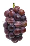あづましずく ぶどう あづましずく ぶどう