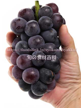 あづましずく　ぶどう