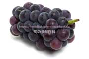 あづましずく ぶどう あづましずく ぶどう