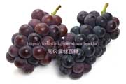 あづましずく ぶどう あづましずく ぶどう