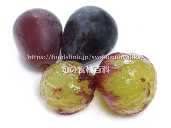 あづましずく　ぶどう