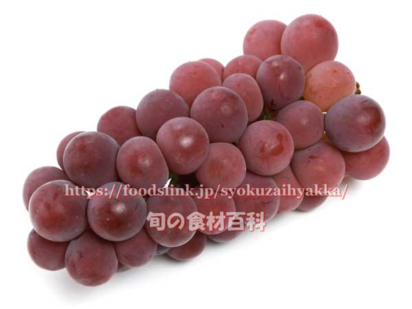 キタサキレッド 赤いぶどう