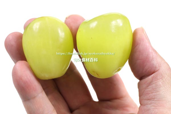 Male treasure, Yuho, grapes, grapes