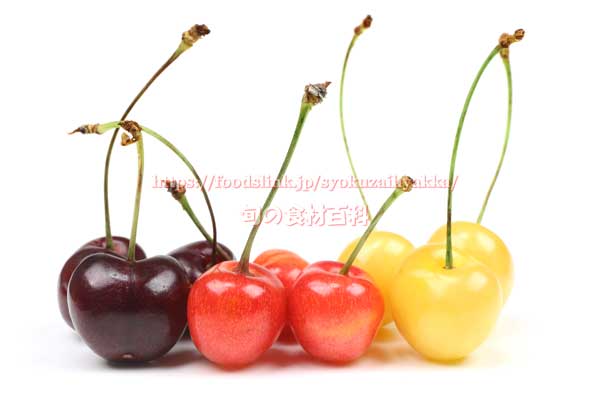 サクランボ（さくらんぼ/チェリー）の品種一覧：旬の果物百科