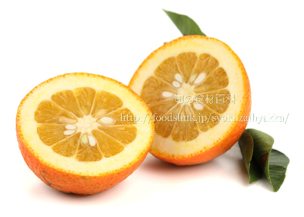 橙（だいだい／ダイダイ）の栄養価と効用：旬の果物百科