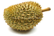 ドリアン／Durian
