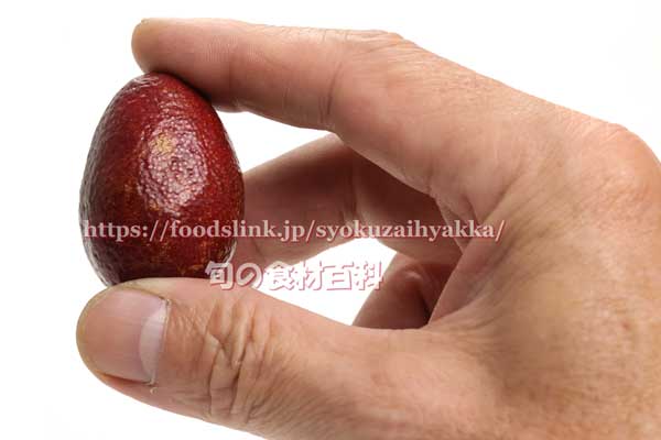 オーストラリアン・ブラッドライム（BLOOD LIME）