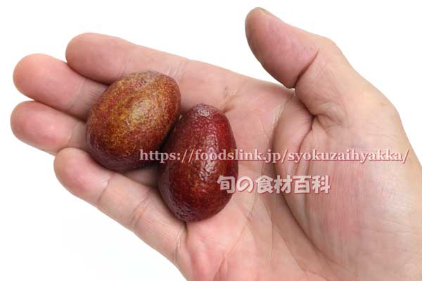 オーストラリアン・ブラッドライム（BLOOD LIME）