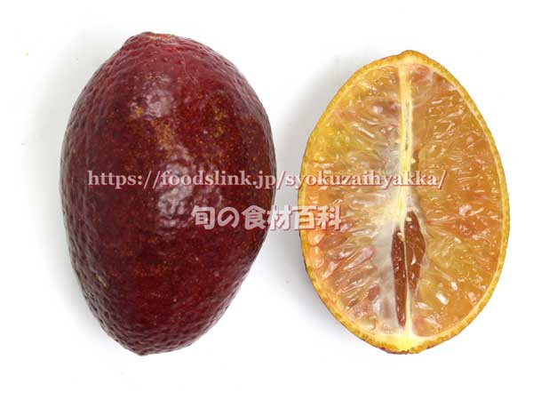 オーストラリアン・ブラッドライム（BLOOD LIME）