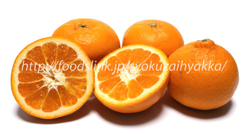 はれひめ ハレヒメ 柑橘類 旬の果物百科