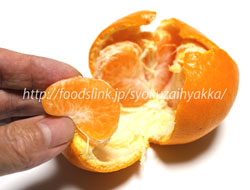 はれひめ みかん 柑橘