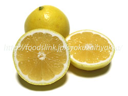 日向夏