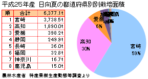 日向夏の生産量