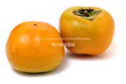 新秋（しんしゅう）柿