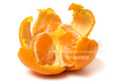 皮を剥いたかんきつ中間母本農6号　みかん　柑橘