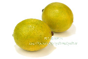 国産ライム（Lime）　和歌山県産の写真