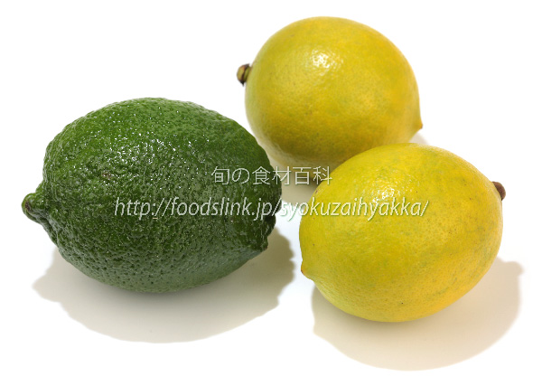 ライム（Lime）　メキシコ産と和歌山県産の写真
