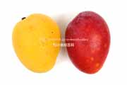 沖縄県産　金蜜マンゴーとアップルマンゴー