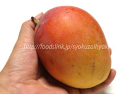 アップルマンゴー 旬の果物百科