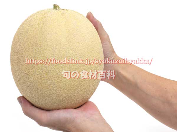 ムーンライト 黄皮白肉ネットメロン
