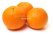 国産オレンジ、デリッシュネーブル（白柳ネーブル）